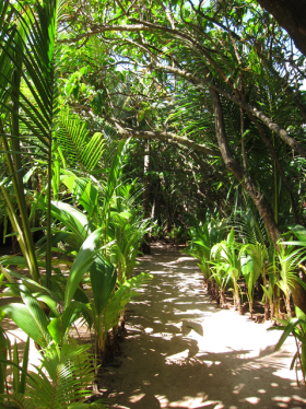 Little Corn Island path – Best Places In The World To Retire – International Living